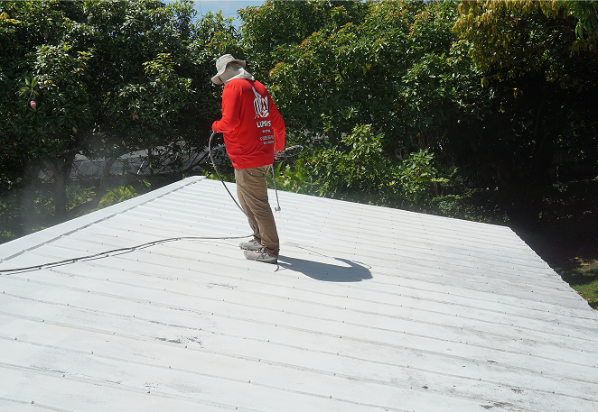 Roof exterior painting